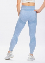 Women Seamless Gym Leggings Wholesale Activewear Yoga Pants Custom