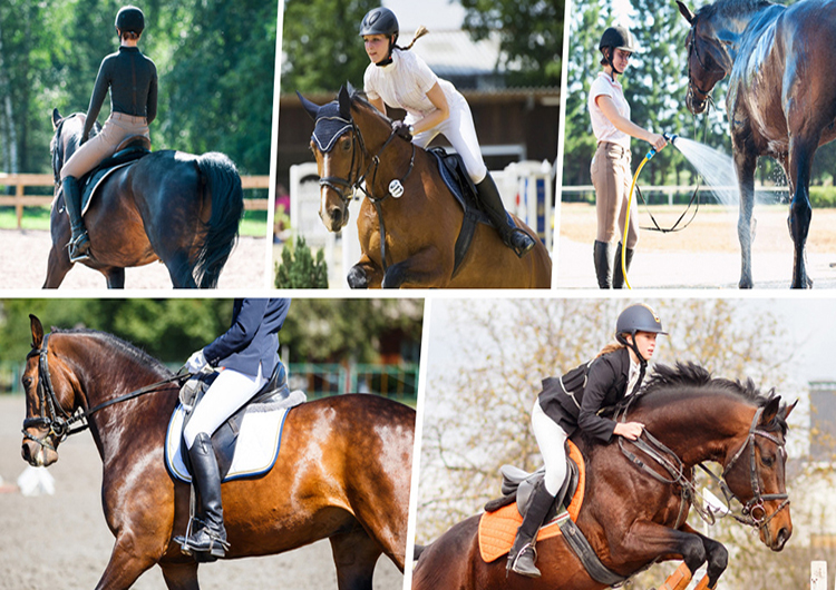 Beautiful and Durable Women's Riding Breeches Available from a Reliable Equestrian Wear Supplier