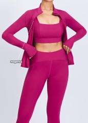 Wholesale Fitness Apparel High Elastic Slim 3 Pieces Women Gym Yoga Sets